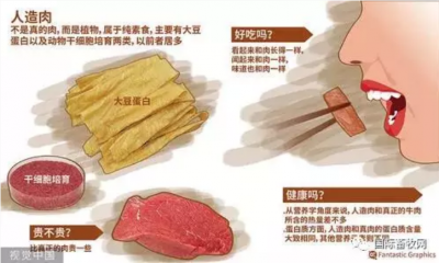 中国首款人造肉将于9月上市